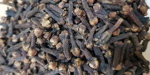 Clove Pods