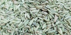 Fennel Seeds