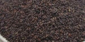 Black Peppermint Seeds