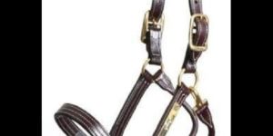 Leather Horse Bridle
