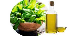 Basil Oil