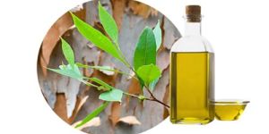 Eucalyptus Oil