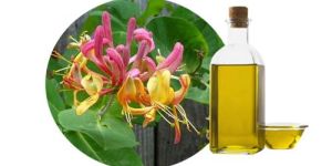 Honeysuckle Oil