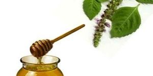 Tulsi Flora Honey