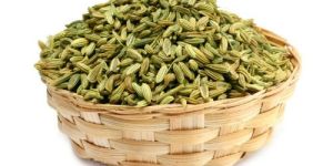 Big Fennel Seeds