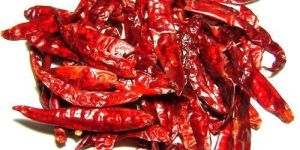 Whole Dried Red Chilli