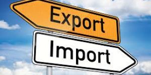 Import Export License Service