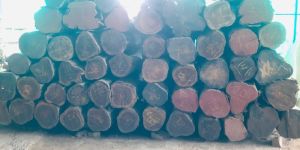 Teak Wood Logs