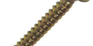 Polished Wood Screw