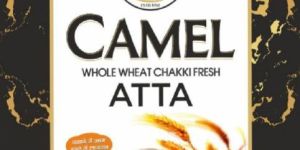 Camel Atta