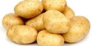 Fresh Potato