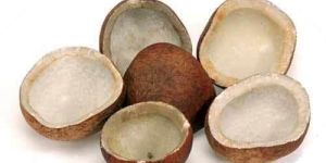Dry Copra Coconut