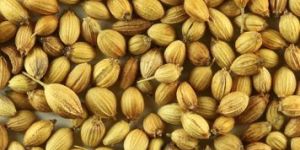 Coriander Seeds