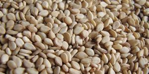 Natural Sesame Seeds