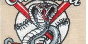 Embroidery Digitizing Services