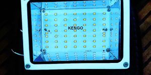 50 Watt LED Flood Lights