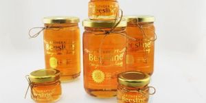 Transparent Honey Jars