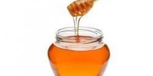 Organic Honey
