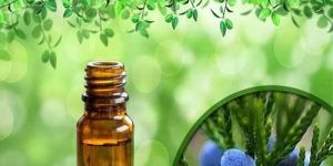 Juniper Berry Oil