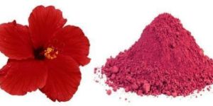 Hibiscus Flower Powder