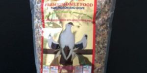 Pigeon Feed