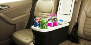 Portable Cooler Warmer