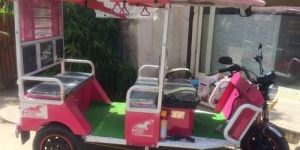 Eco Friendly E-Rickshaw