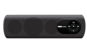 Portable Speaker System