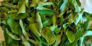 Dry Curry Leaves