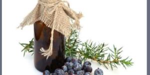Juniper Berry Oil