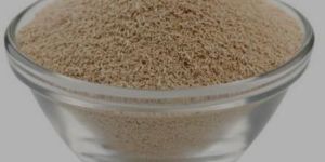 Dry Yeast