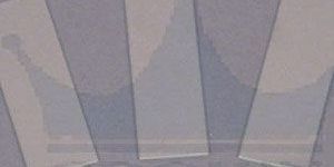 Microscope Slides