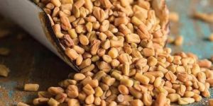 Fenugreek Seeds
