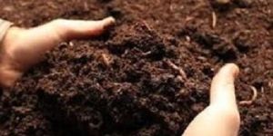 Brown Vermicompost Fertilizer