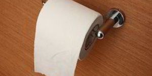 SS Toilet Tissue Holder