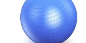 Physiotherapy Balls