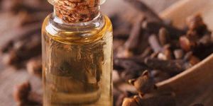 Clove Bud Essential Oil