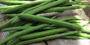 Fresh Drumsticks