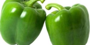 Fresh Green Capsicum