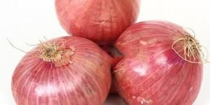 Fresh Onion