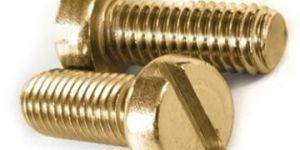 Brass Cheese Head Screw