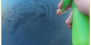 Windshield Glass Cleaner