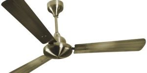Decorative Ceiling Fan