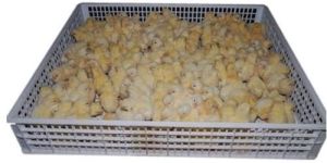 Eggs Hatcher Tray
