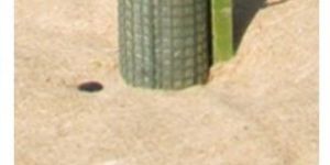 Non Woven Mulch Fabric