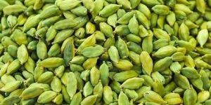 Cardamom