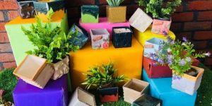 Ceramics Table Pots