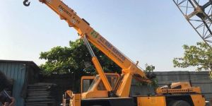 Escorts Hydraulic Crane