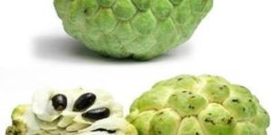 Fresh Custard Apple