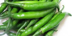 Fresh Green Chilli